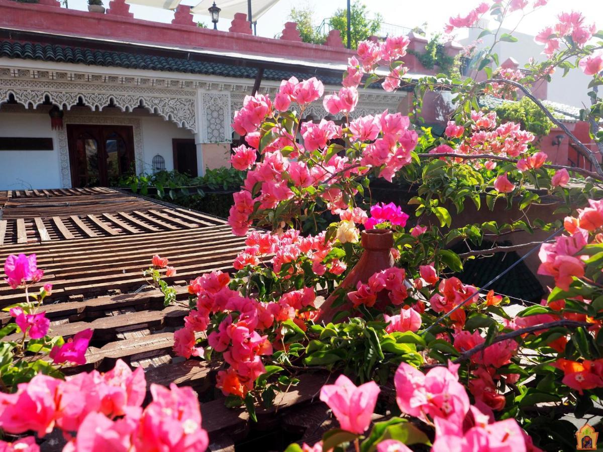 Riad Toyour- Riad Of Birds Fez Kültér fotó