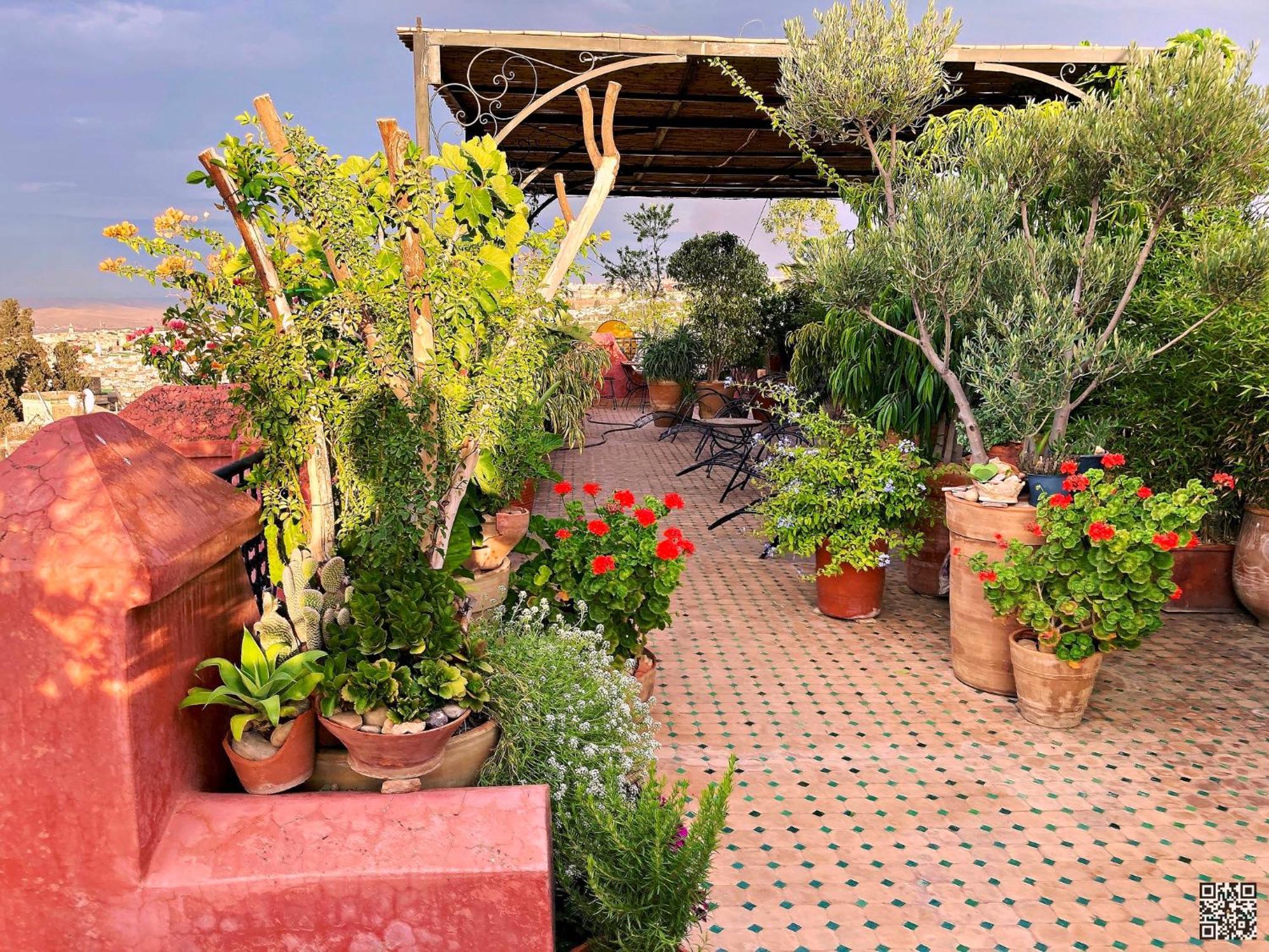 Riad Toyour- Riad Of Birds Fez Kültér fotó