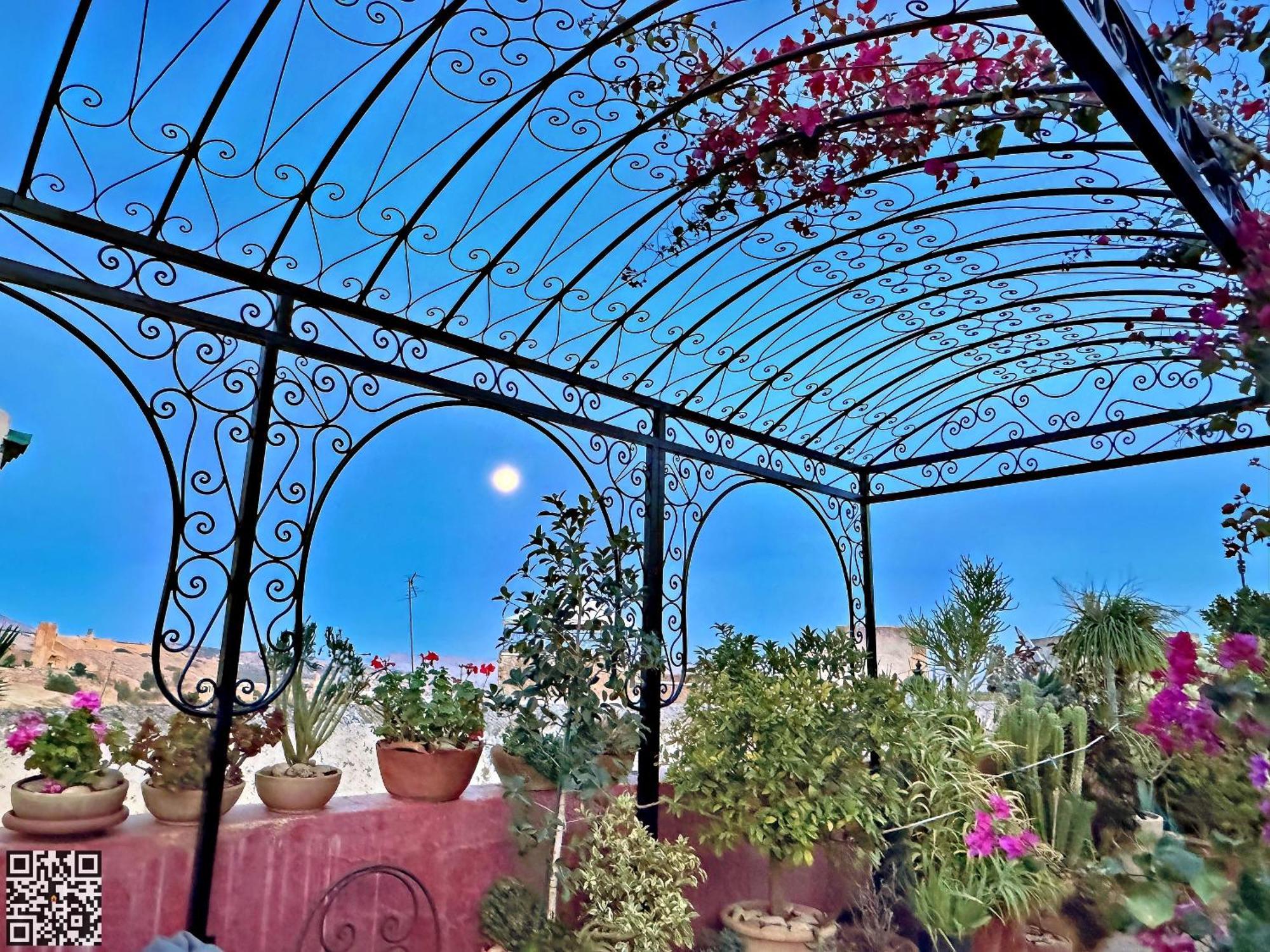 Riad Toyour- Riad Of Birds Fez Kültér fotó