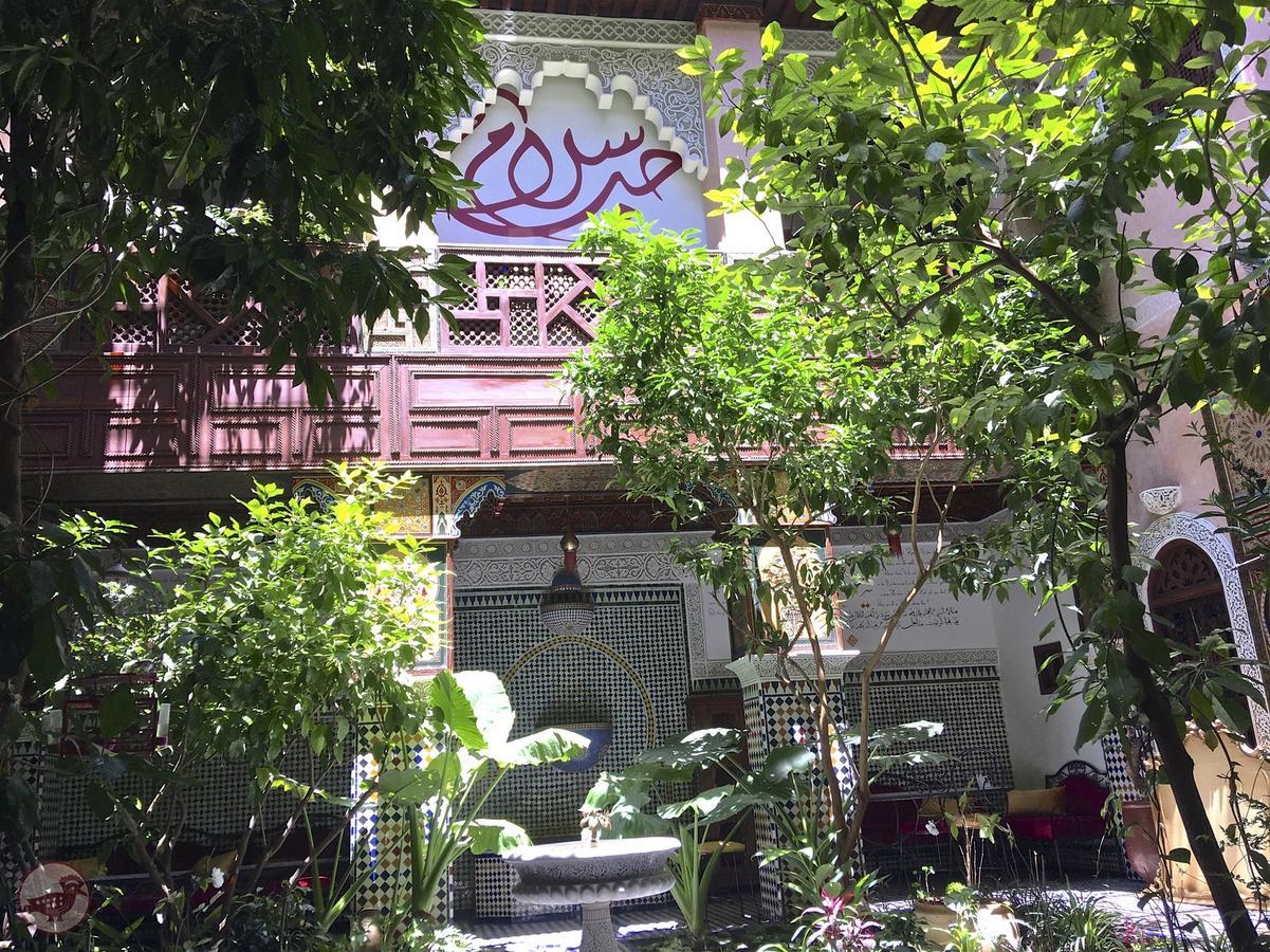 Riad Toyour- Riad Of Birds Fez Kültér fotó